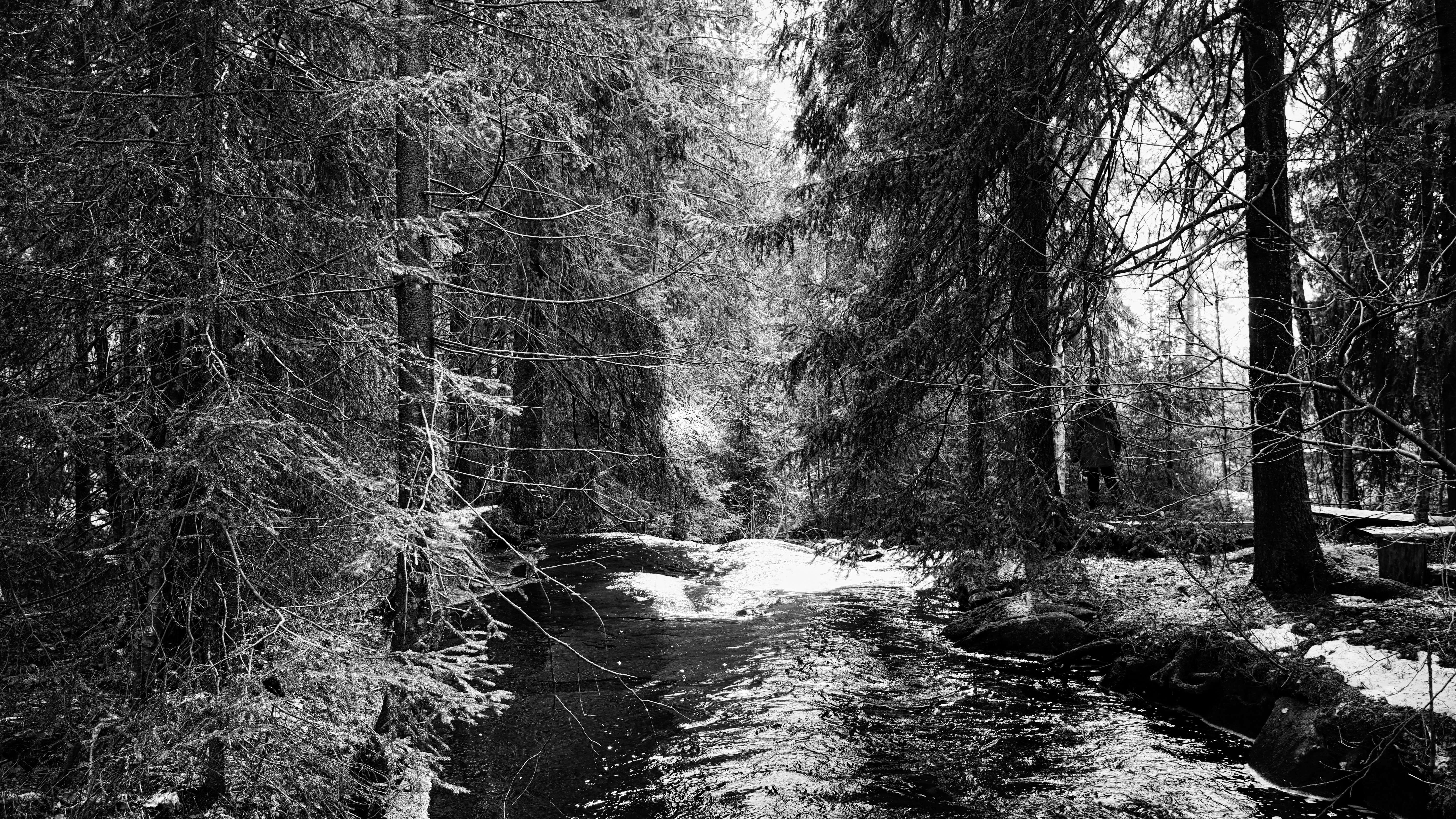 Photo 010