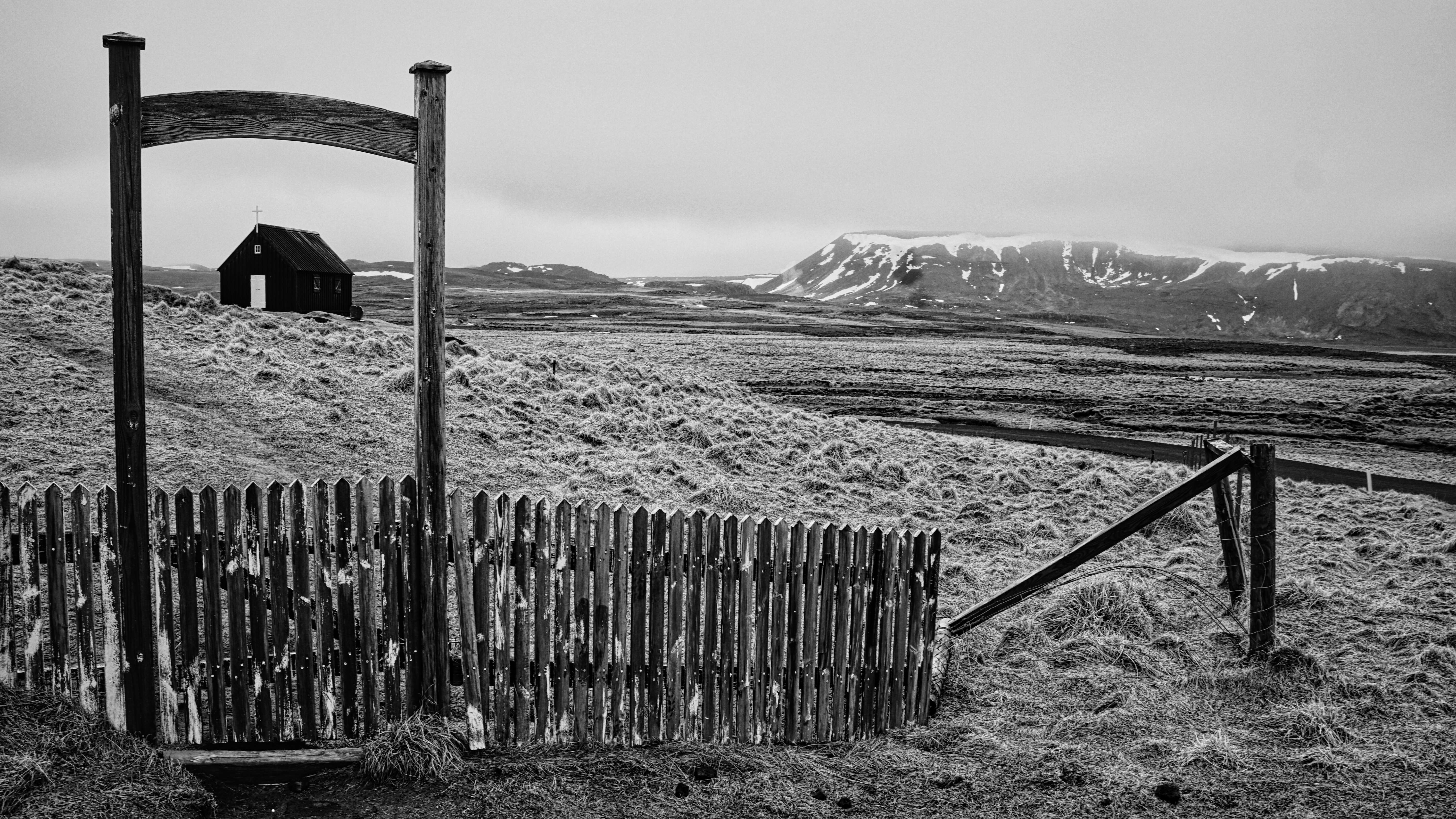 Photo 007